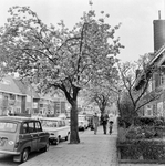 126534 Afbeelding van een Japanse kers in lentebloesem in de Everard Meijsterlaan te Utrecht.